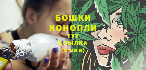 первитин Богданович